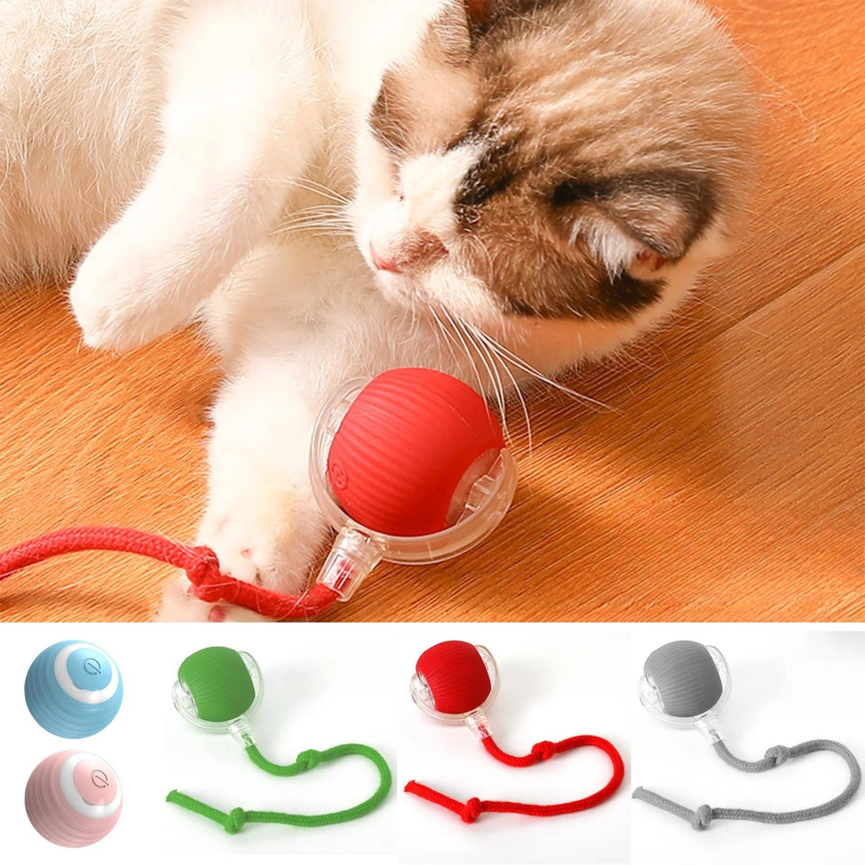 SmartBall Mascota™ – Pelota Interactiva con Movimiento Automático y Recarga USB