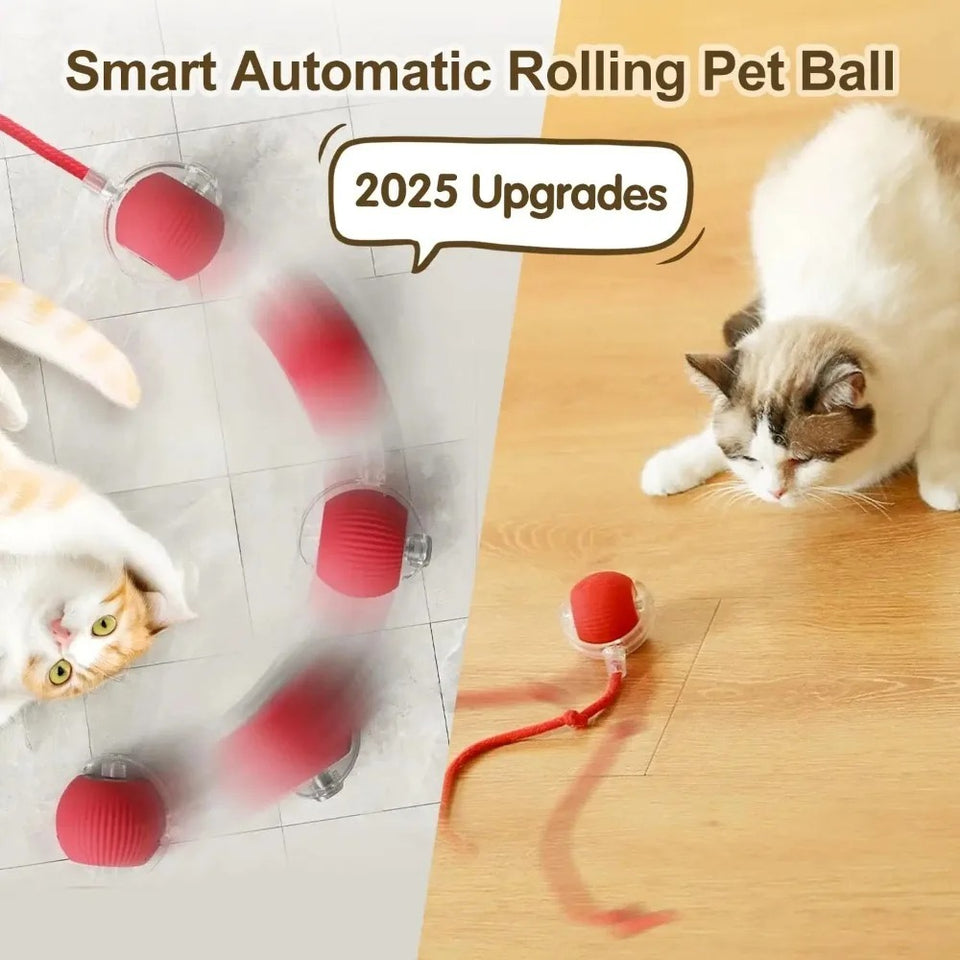 SmartBall Mascota™ – Pelota Interactiva con Movimiento Automático y Recarga USB