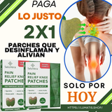 PARCHES QUE DESINFLAMAN Y ALIVIAN AL INSTANTE